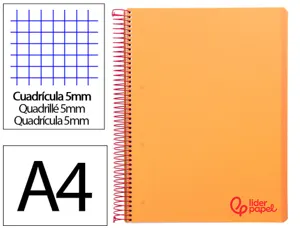 Cahier spirale liderpapel a4 micro wonder 240 pages 90g    5x5mm 4 trous 5 bandes        couleurs orange — Non classé