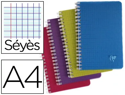 Cahier clairefontaine linicolor intensive reliure intégrale a4 21x29,7cm 100 pages 90g réglure séyès coloris assortis — Non…