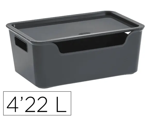 Boite multirangement cep bella pp couvercle et         poignees contenance 4,22l     coloris gris — Non classé