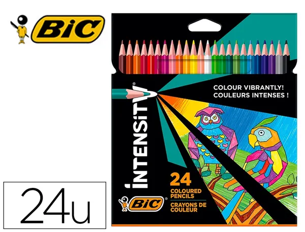 Crayons Couleur Bic Intensity Up Corps Triangulaire Pack De 24 — DESSIN SCOLAIRE ET PROFESSIONNEL