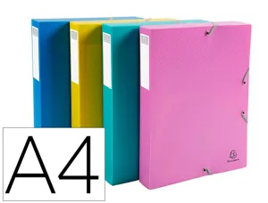 Boite de classement exacompta forever young a4              polypropylene dos 40mm — Non classé