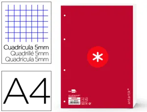 Feuillet mobile antartik a4 80feuilles 90g quadrillage 5mm  4 trous bord coloris framboise — Non classé