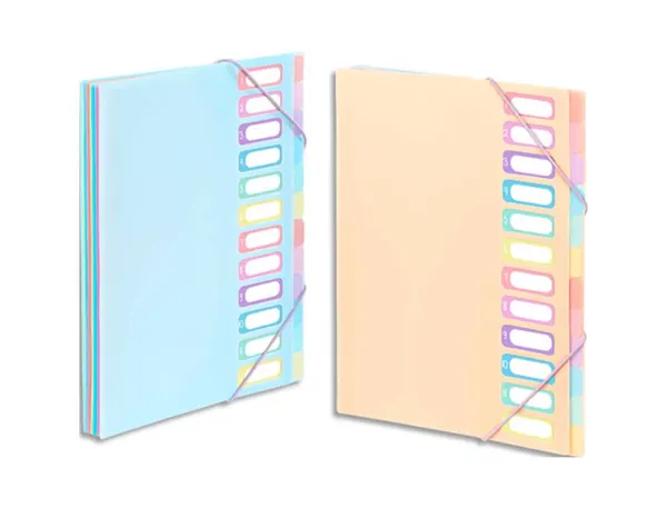 Trieur viquel rainbow pastel 12 compartiments polypropylene a4 25.5x32cm coloris assortis pastel — Non classé
