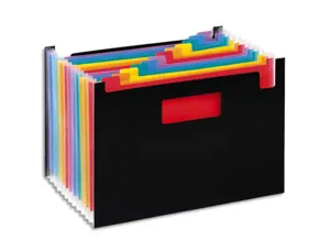 Trieur viquel rainbow class 12 compartiments              polypropylene a4 32,5x23cm    coloris noir — Non classé