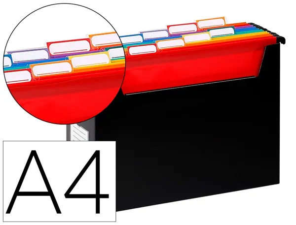 Boite Easycase Rainbow Class 8 Dossiers Suspenduspolypropylene A4 32,8x24x12 cm Coloris Noir, VIQUEL — Classement & archivage