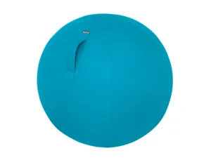 Ballon d'assise ergonomique leitz ergo cosy active bleu   65cm diametre — Non classé
