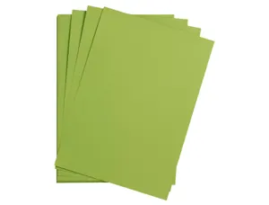 Feuille papier clairefontaine maya 270g 500x700mm coloris   vert mousse paquet 25 unites — Non classé