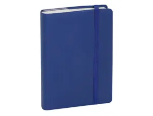 EXACOMPTA Agenda de poche Journal 13 Quadrillé 2027, assorti — Agendas de poche