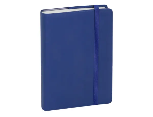 EXACOMPTA Agenda de poche Journal 13 Quadrillé 2027, assorti — Agendas de poche