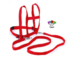 Jeux de coordination et d equilibre sport fit germany   harnais de jeux nylon 2       mousquetons 1m toure de — Non classé