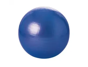 Ballons geants tremblay balle gymnique pvc regonflable      differentes tailles poids     maxi 100 kg 55 cm — Non classé
