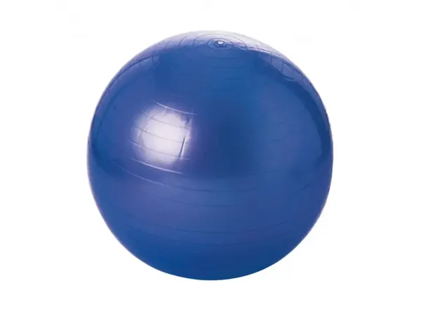 Ballons geants tremblay balle gymnique pvc regonflable      differentes tailles poids     maxi 100 kg 55 cm — Non classé