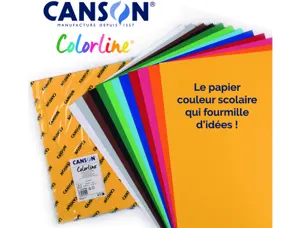Papier Dessin Colorline Canson 1 Face Grainee 1 Face Lisse 50x65 Cm 150g Coloris Assortis 25 Feuilles — Activités artistiques