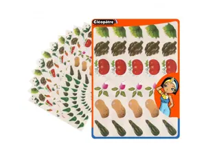 Gommette fantaisie cleopatre legumes 6 motifs 720          gommettes pochette de 24      planches a5 — Non classé