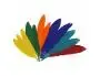 Plumes Indien Fontorpin Si 13 Cm Sachet 60 Unites Coloris Assortis — Activités artistiques — vue 3