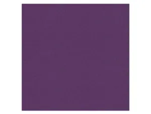 Papier dessin clairefontaine cartoline 50x65cm 120g        coloris violet paquet 25      feuilles — Non classé
