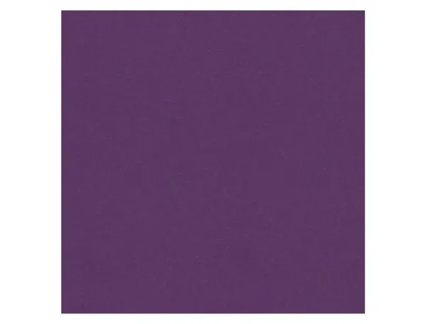 Papier dessin clairefontaine cartoline 50x65cm 120g coloris violet paquet 25 feuilles — Non classé