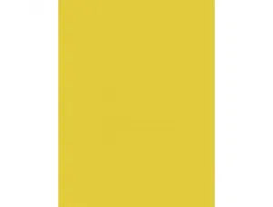 Papier affiche clairefontaine 60x80cm 90g coloris jaune     d'or paquet 25 feuilles — Non classé