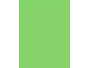 Papier affiche clairefontaine 60x80cm 90g coloris vert      fonce paquet 25 feuilles — Non classé