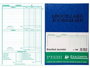 EXACOMPTA Piqûre "Brouillard Journalier", 270 x 195 mm — Registres & manifolds