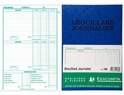 EXACOMPTA Piqûre "Brouillard Journalier", 270 x 195 mm — Registres & manifolds