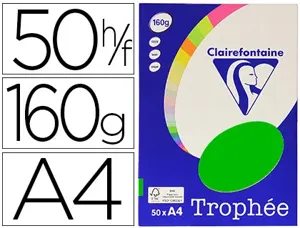 Papier couleur clairefontaine trophée personal paper pack a4 160g/m2 vert menthe 50 feuilles couleurs intenses — Non classé