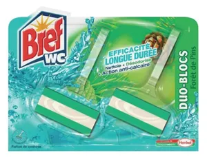 Duo-bloc wc sol triple action anti-tartre nettoyant désodorisant fraîcheur forêt pins 2x40g — Non classé