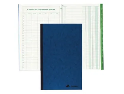EXACOMPTA Piqûre "Recettes et dépenses", 320 x 195 mm — Papier, cahier & courrier