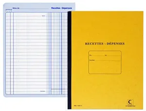ELVE Piqûre "Recettes/Dépenses", 80 pages, 297 x 210 mm — Livres de comptes