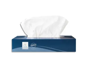 Mouchoirs blancs 2 plis 100 feuilles format 19,7 x 20 cm boîte 100 — Non classé