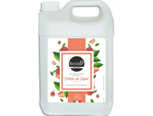 Savon liquide boldair glycérine parfum pêche de vigne bidon 5 l — Non classé