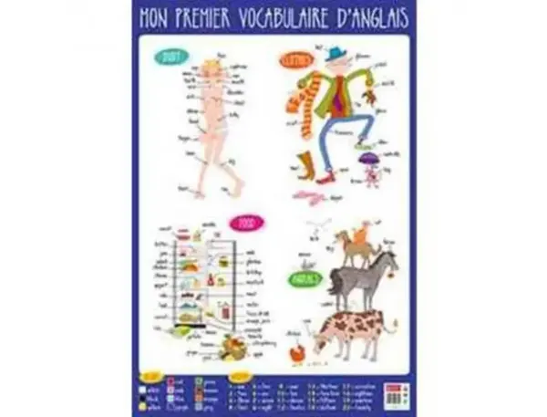 Poster bouchut grandrémy anglais 52x76cm 150g pelliculé effaçable à sec — Non classé