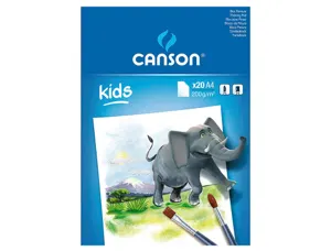 Bloc peinture canson papier dessin spécial gouache résistant eau 200g a4 210x297mm paquet 20f — Non classé