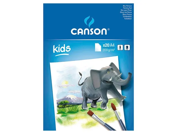 Bloc peinture canson papier dessin spécial gouache résistant eau 200g a4 210x297mm paquet 20f — Non classé