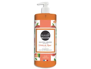 Savon boldair glycérine lavag e fréquent nettoie dégraisse protège cuisine toilette atelier parfum pêche flacon 500ml — Non…