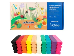 Pate a modeler sodertex patacire vegetale non         sechante pain 300gr coloris   assortis boite 10 unites — Non classé