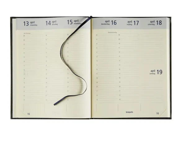 Agenda brepols optivision large couverture dubletta 1   semaine/2 pages 17,1x22cm     128p coloris assortis — Non classé