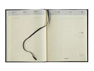 Agenda brepols timing couverture aurelia 1          semaine/2 pages 17,1x22cm     128p coloris assortis — Non classé