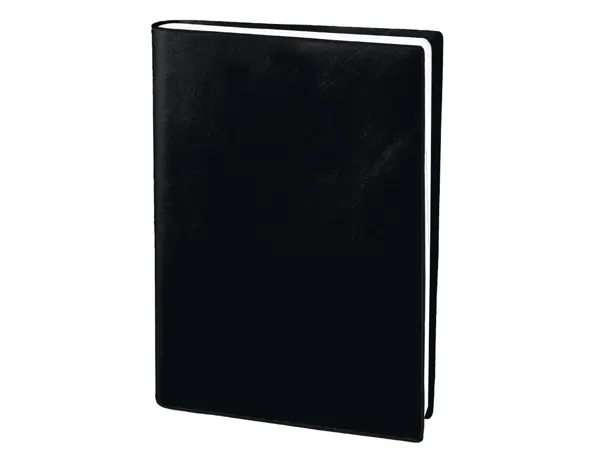 Agenda quo vadis scolexdi ml alpha coloris noir 10x15 cm — Non classé