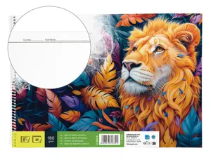 Bloc liderpapel papier dessin artistique spirale avec encadrement 180g/m2 format a3 460x325mm 20f — Non classé