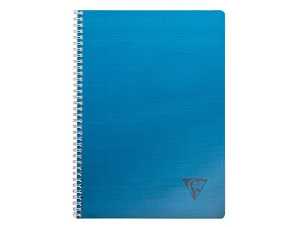 Cahier Clairefontaine Linicolor Intensive Reliure Intégrale A4 21x29,7cm 100 Pages 90g Réglure 5x5mm Coloris… — vue 3