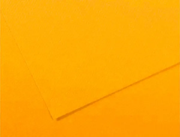 Paquet de 10 feuilles mi-teinte format 50x65 cm bouton d'or — Activités artistiques — vue 3