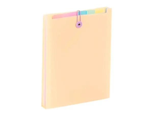 Trieur Viquel Rainbow Pastel Pour Sac A Dos 6 Compartiments Polypropylene A4 25x33x3,5cm — Fournitures — vue 4