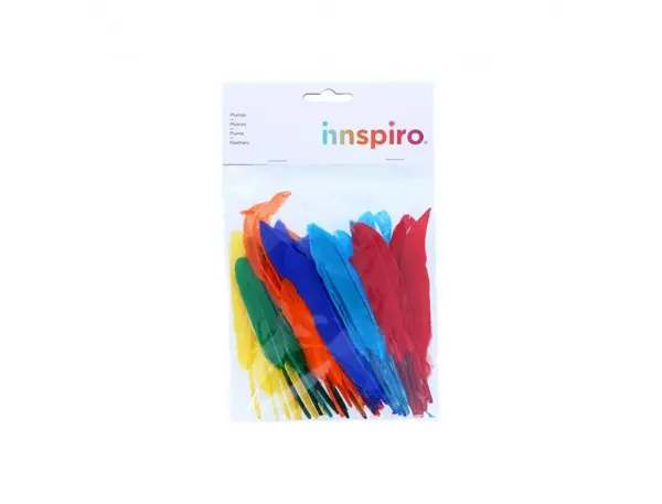 Plumes Indien Fontorpin Si 13 Cm Sachet 60 Unites Coloris Assortis — Activités artistiques — vue 4