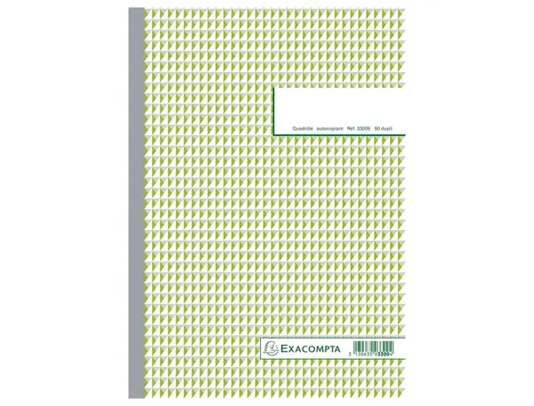 EXACOMPTA Manifold "Quadrillé", 297 x 210 mm, dupli — Papier, cahier & courrier — vue 3