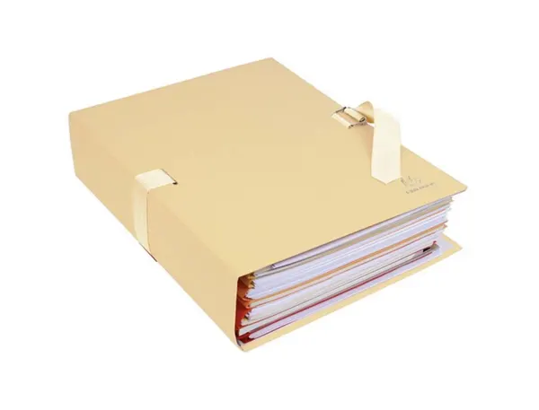 EXACOMPTA Chemise à dos extensible, A4, carton, mastic — Classement & archivage — vue 3