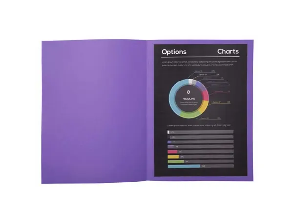 EXACOMPTA Sous-chemise ROCK'S, 220 x 310 mm, violet — Classement & archivage — vue 5