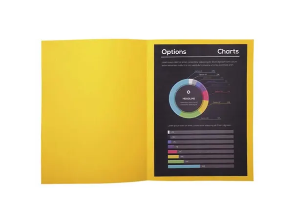 EXACOMPTA Chemises ROCK'S, A4, jaune citron — Classement & archivage — vue 3