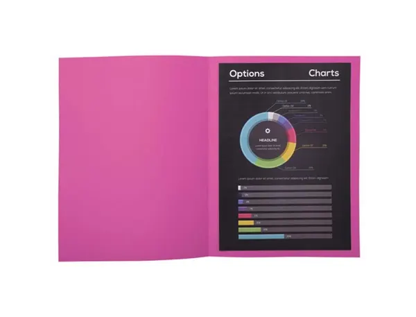 Paquet de 100 chemises 210g ROCK"S format 24x32 cm, rose, EXACOMPTA — Classement & archivage — vue 5