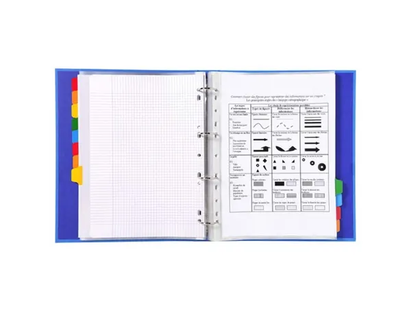 EXACOMPTA Intercalaires en carton, A4 Maxi, 12 touches — Classement & archivage — vue 4